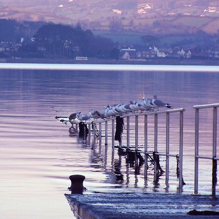 The Oystercatcher Lodge Carlingford Zewnętrze zdjęcie